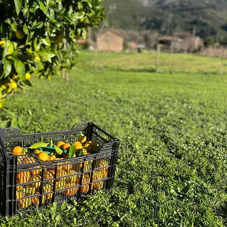 Casa Mari Carmen Feriehus