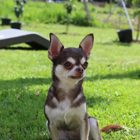 Σπίτι διακοπών Casa Mari Carmen *