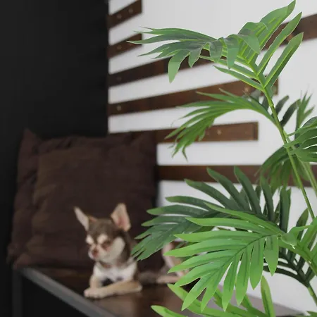 Casa Mari Carmen Feriehus