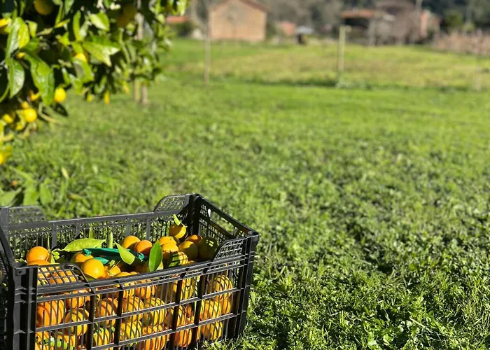 Casa Mari Carmen Hébergement de vacances