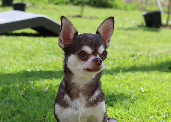 Hébergement de vacances Casa Mari Carmen *