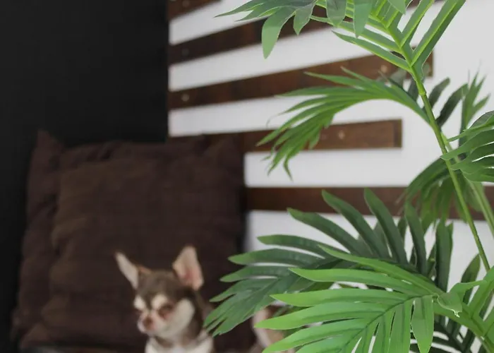 Casa Mari Carmen Hébergement de vacances