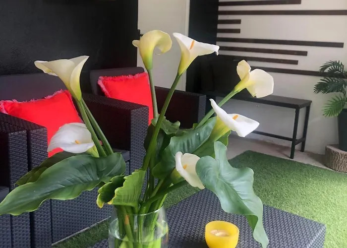 Hébergement de vacances Casa Mari Carmen